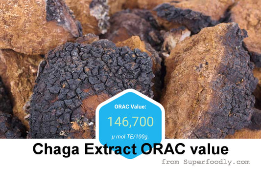 Why Chaga extract is good for your health